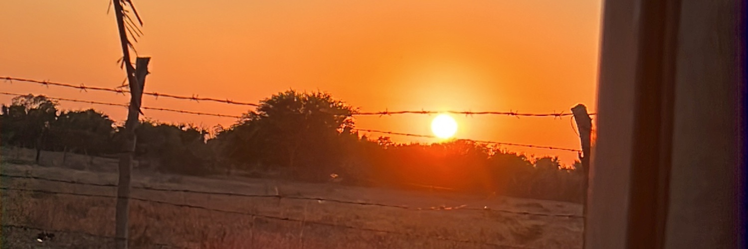 BlanqqaMonster's profile banner image