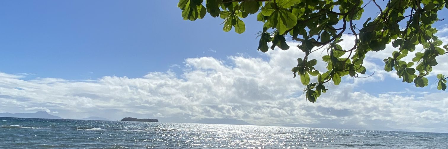markie banner