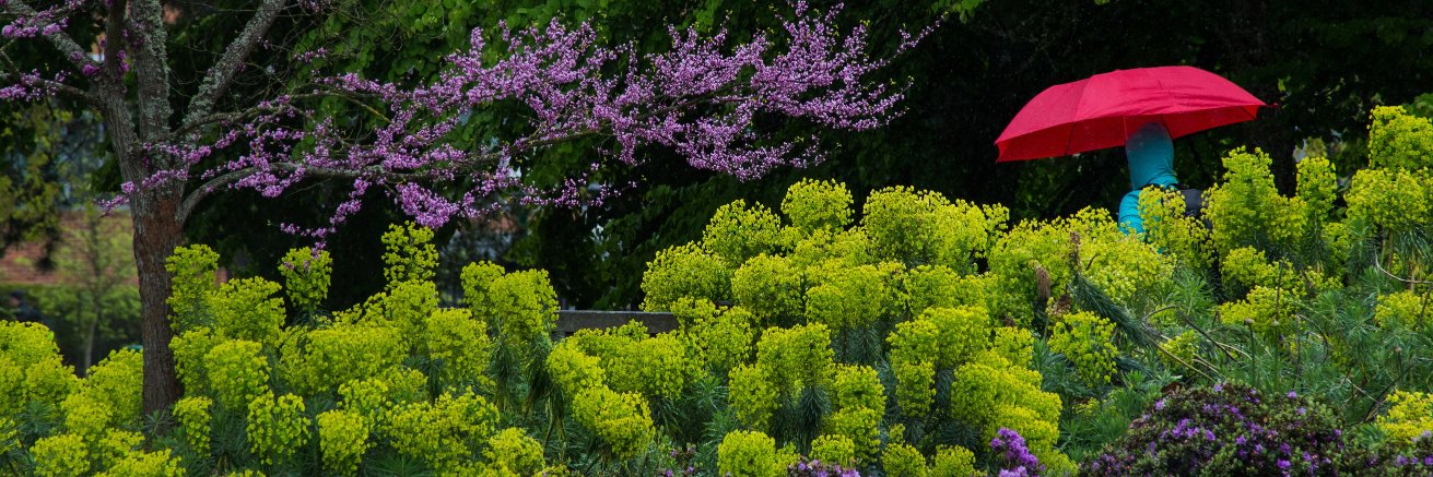 The Register-Guard banner