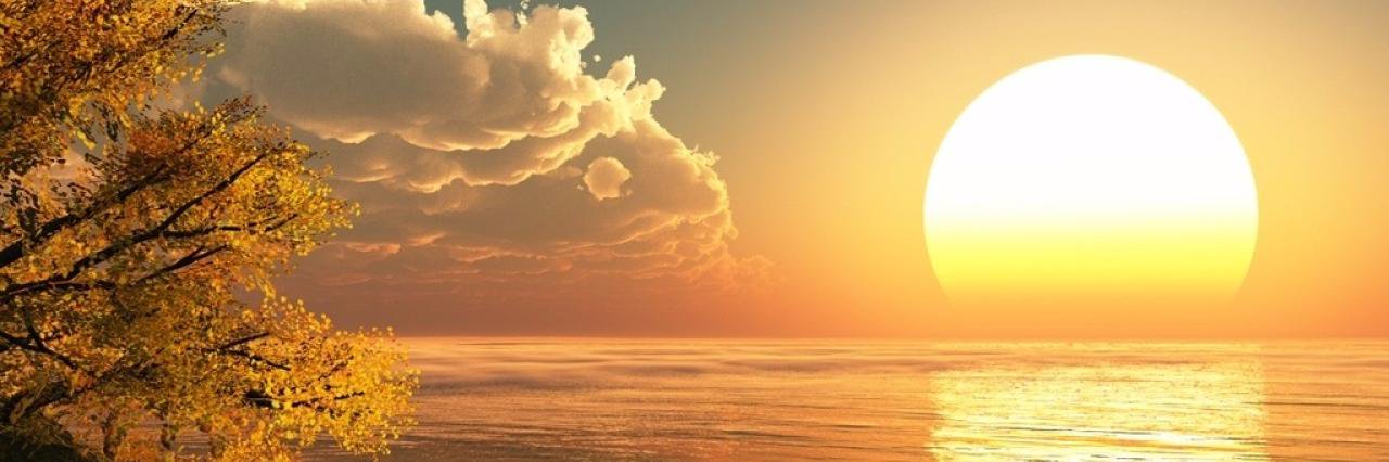 sun_king's profile banner image
