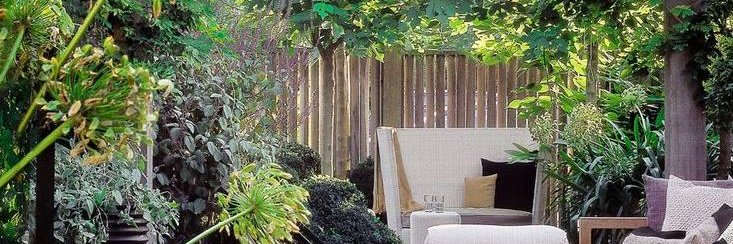 Brigitta Vetter banner