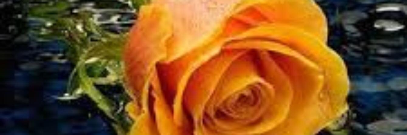 RutimaraA's profile banner image