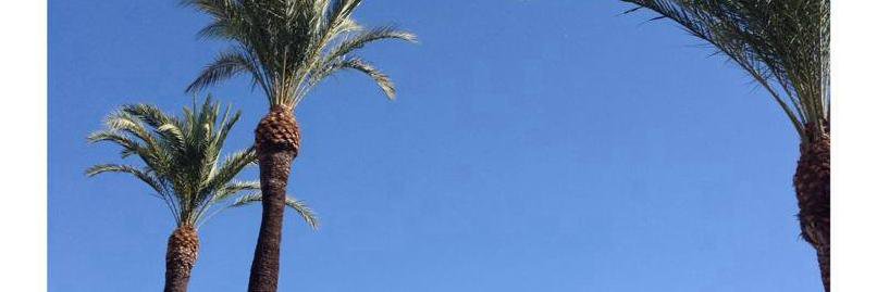 Lucia_Alboran's profile banner image