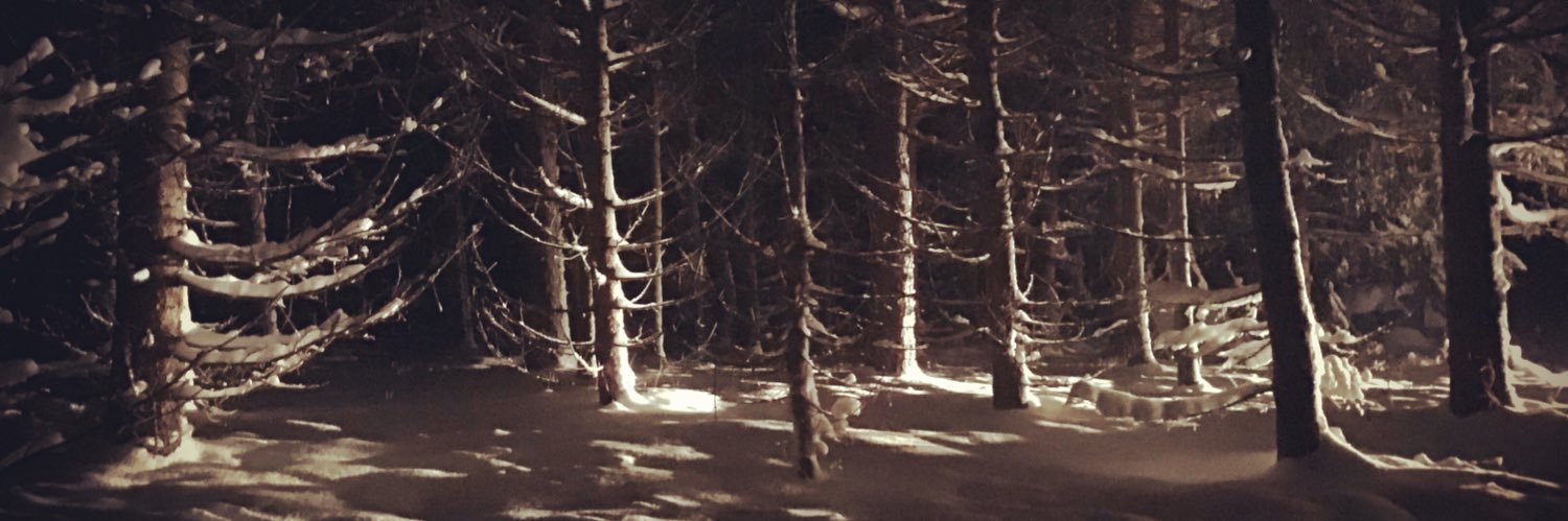 JrDesrosiers's profile banner image