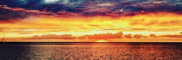 PHOTOHOFF Profile Banner