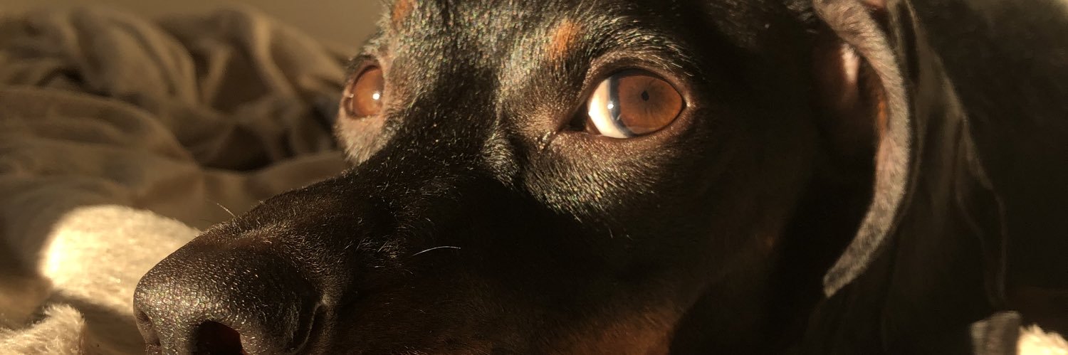 Mileholst's profile banner image