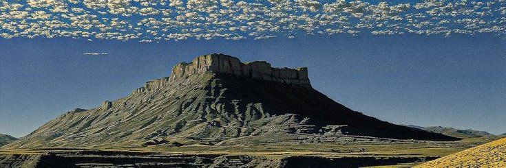 BozacSupertramp banner