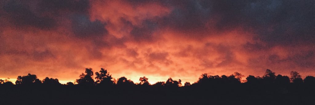 Jared_Walker's profile banner image