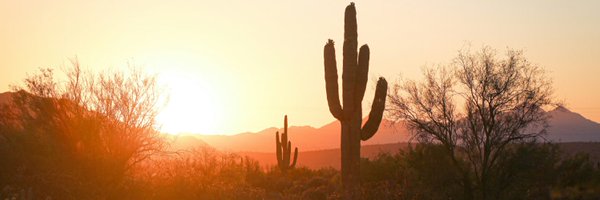 skygazer444 Profile Banner