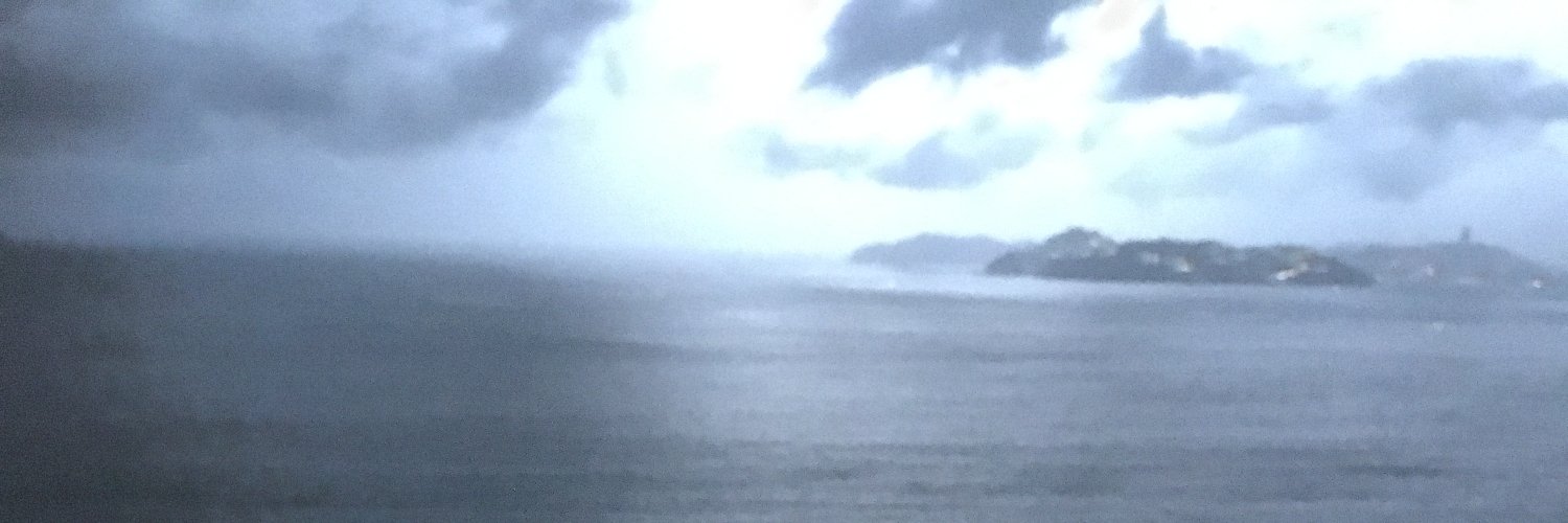 fgutzrepper's profile banner image
