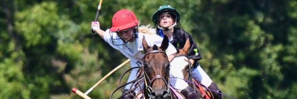 readknox Profile Banner