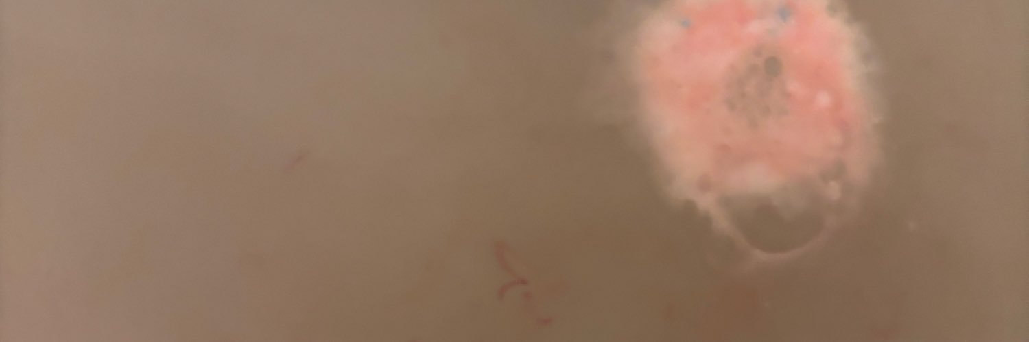 NANORainbowStar's profile banner image