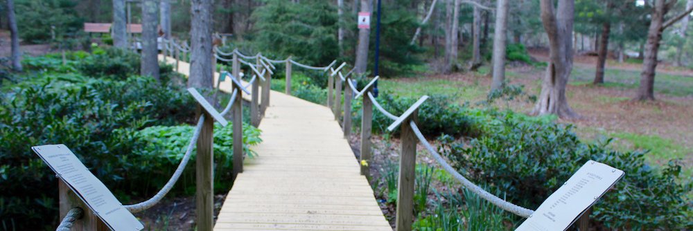 mfoxfoley's profile banner image