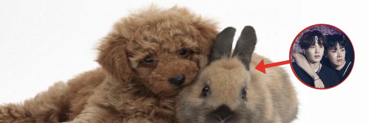 lynn ₊˚⊹ᰔ banner