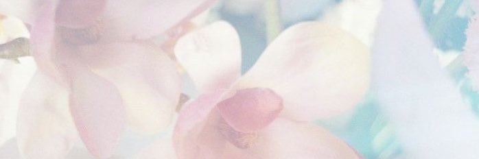 clawdeenlvr's profile banner image
