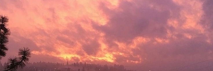 Eve Sunsette 🌅 banner