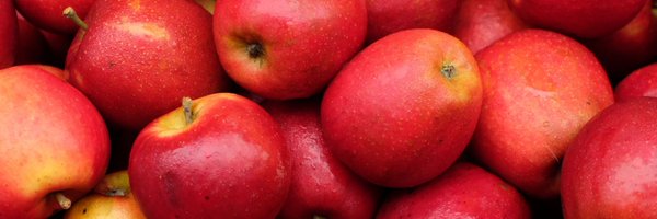 appleaddicted2 Profile Banner