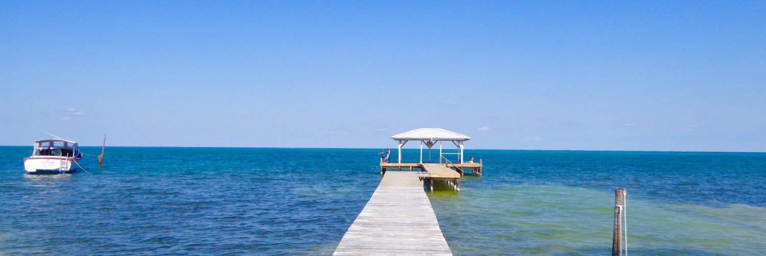 She Gets Around banner