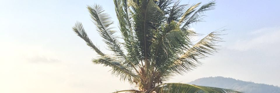 spiran_sriram's profile banner image