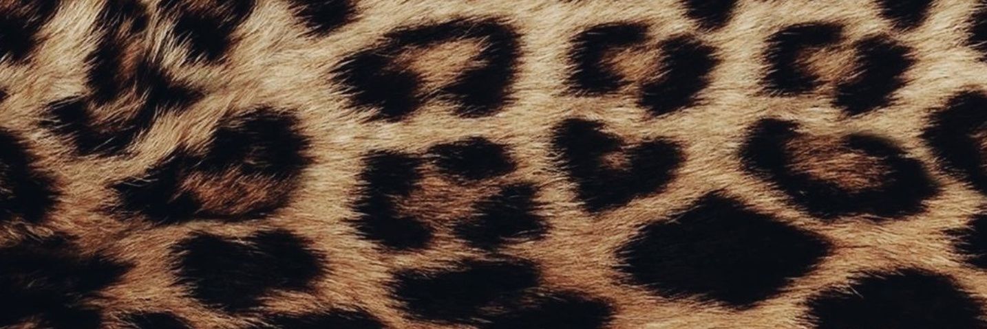 ElevenJee's profile banner image