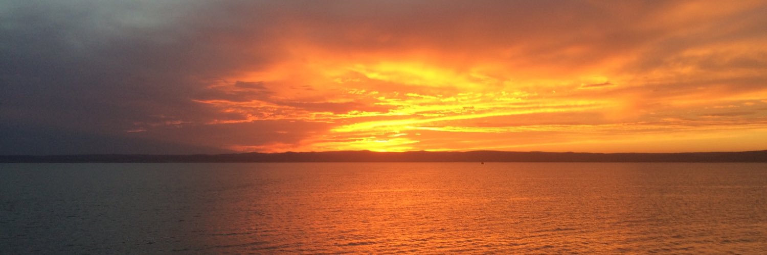 Jason Sevestre banner