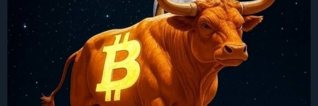 🇮🇹🐋🧲69420 banner