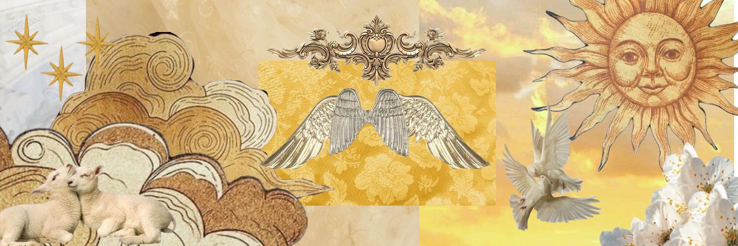 ｡ °‧ banner