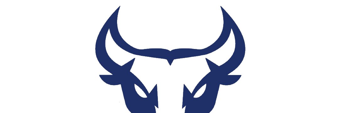 ToroX banner