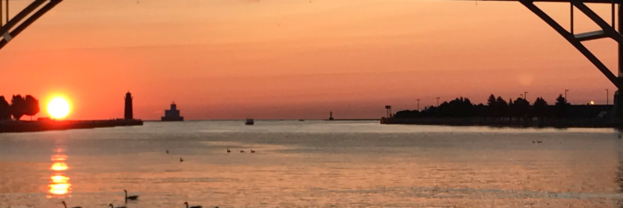 Greg Borowski banner