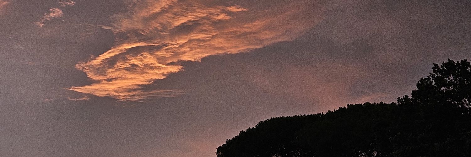 sofisnotok's profile banner image