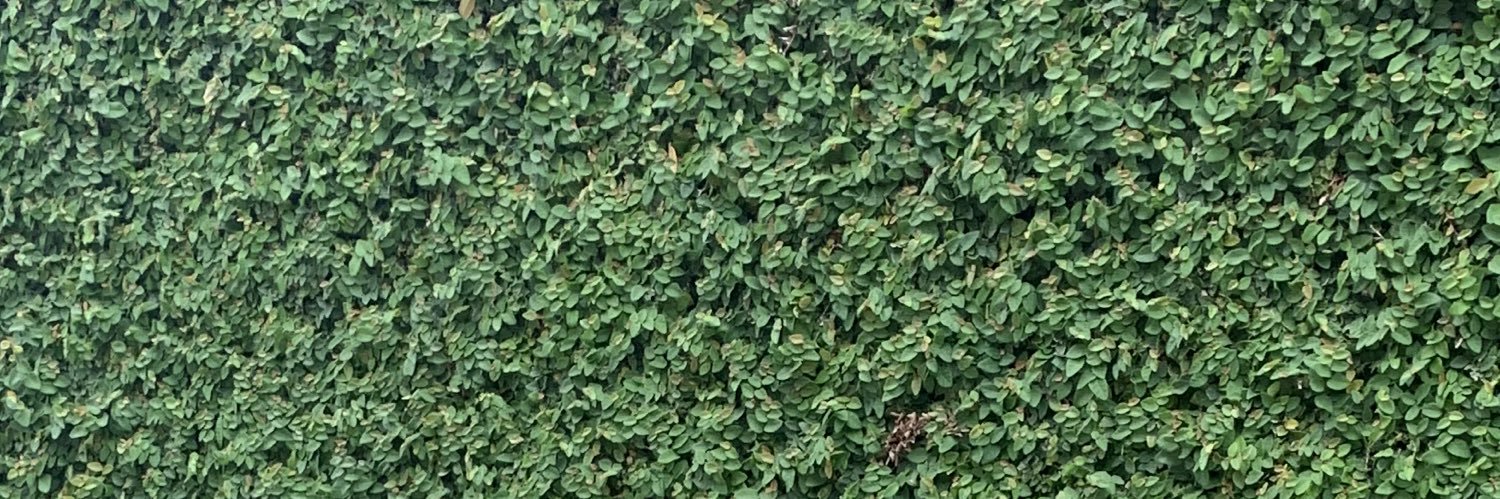 Cassndramunoz's profile banner image
