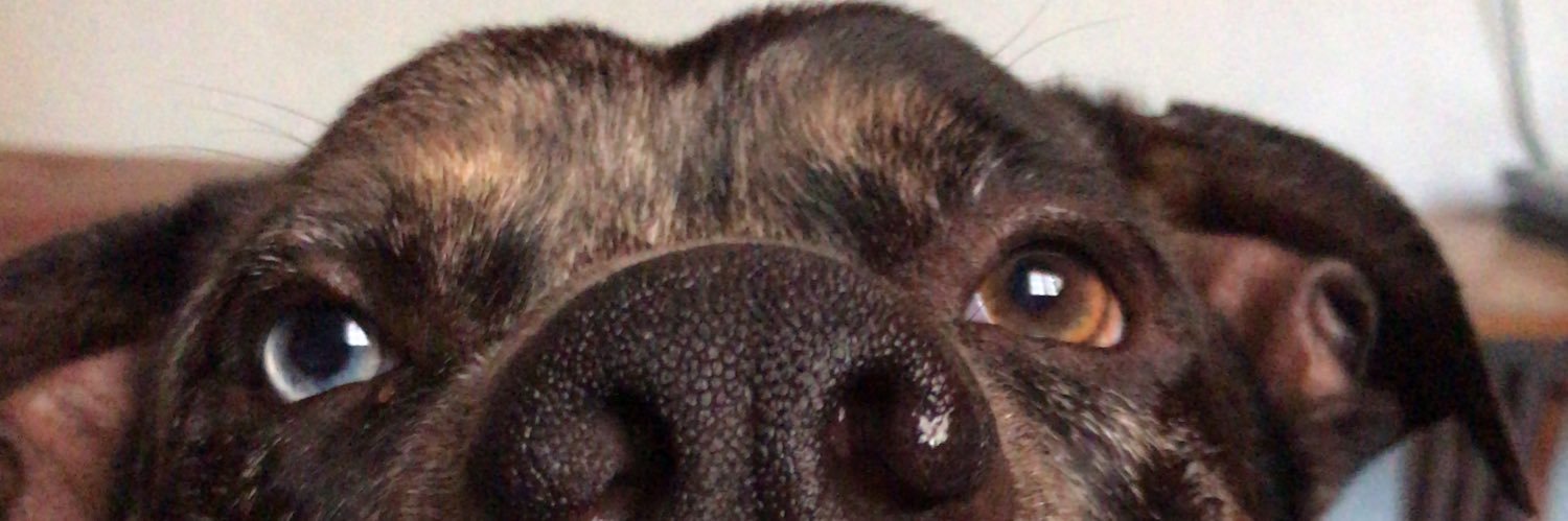 feddiazdevivar's profile banner image