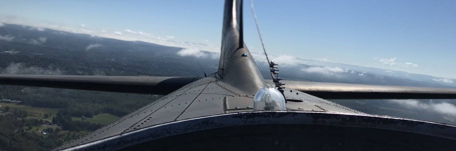 Dumb Political Takes banner