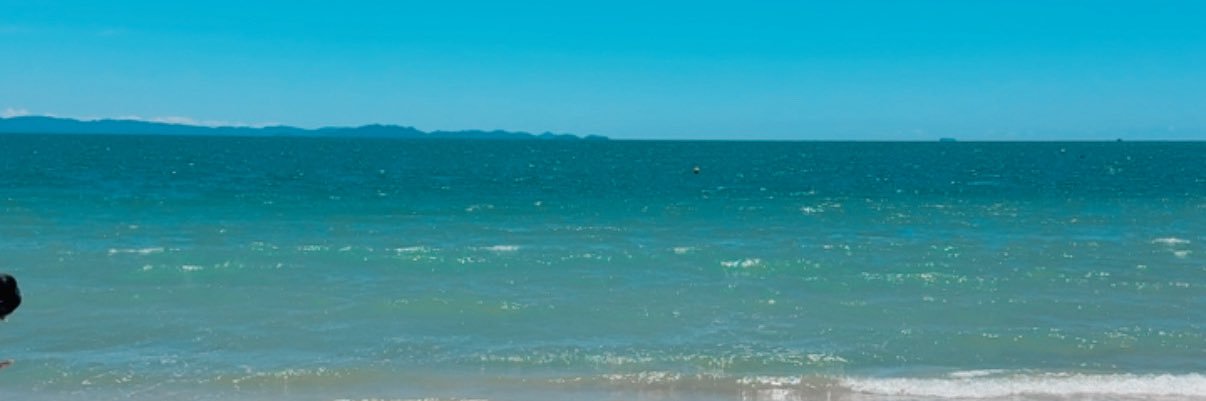 dannirochas's profile banner image