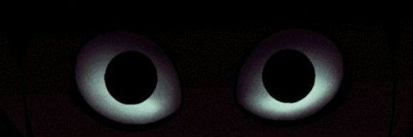 maverick. banner