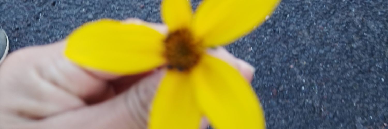 MiaSolis009's profile banner image