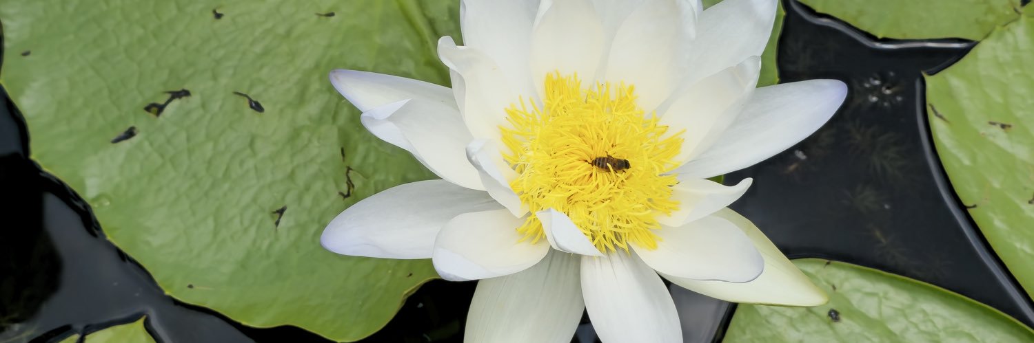 harry（北京3.21-25） banner