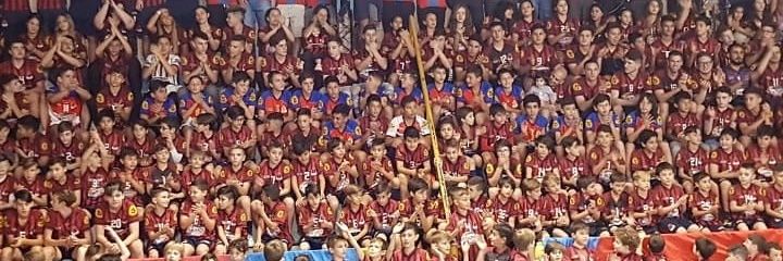 Estudiantil Porteño banner