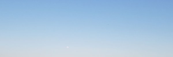 vascogoni92 Profile Banner