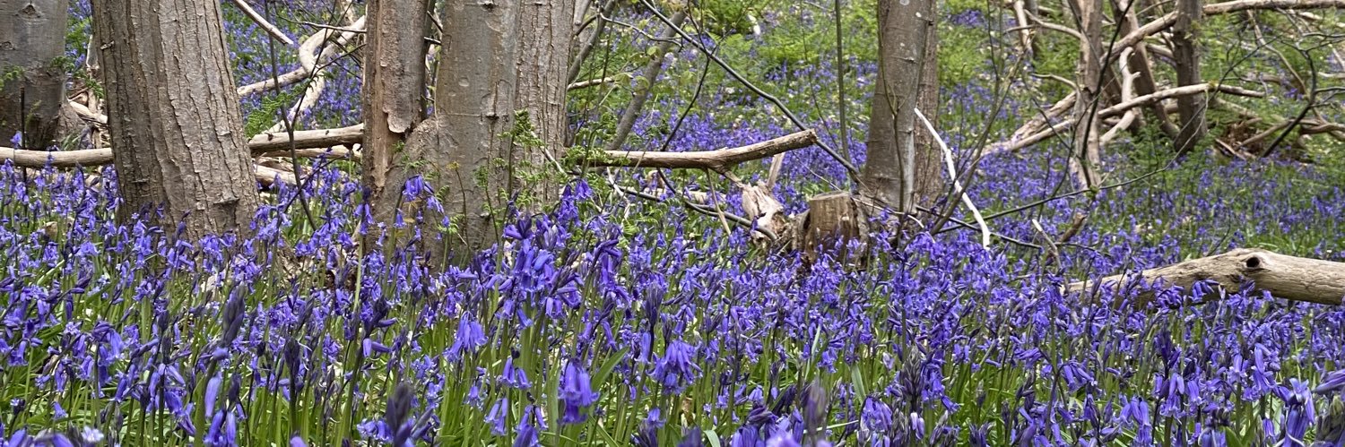 J 🇺🇦🇮🇱🇬🇧🇺🇸 banner