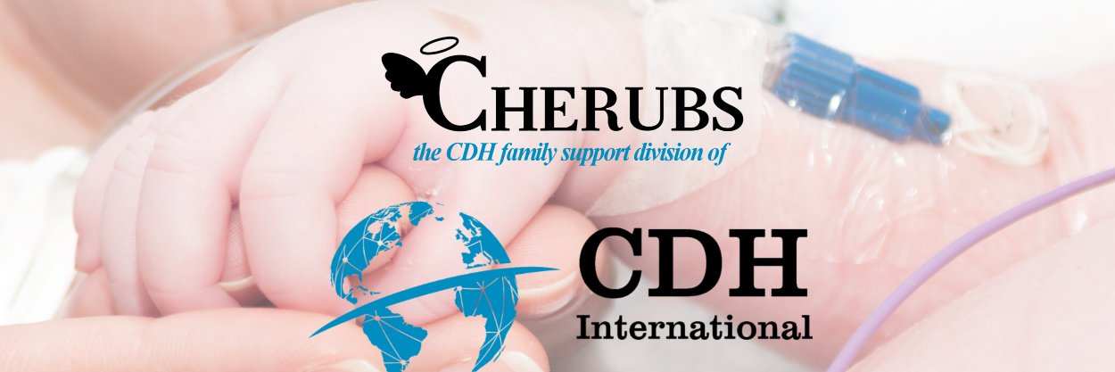 CHERUBS CDH Support Dept of CDH International banner