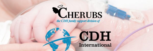 cherubs Profile Banner