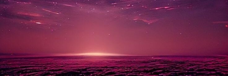 AussieDingos's profile banner image
