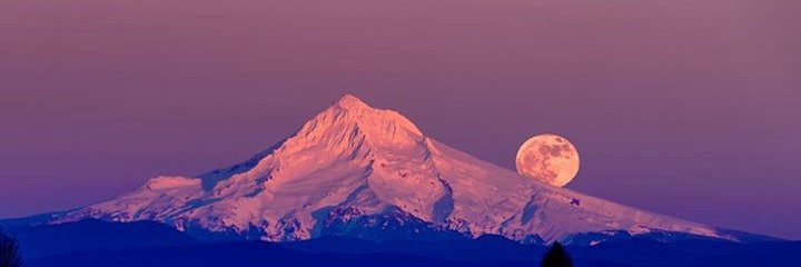 sljpdx's profile banner image