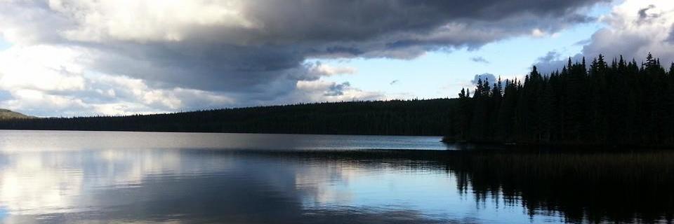 Juan_Corredor's profile banner image