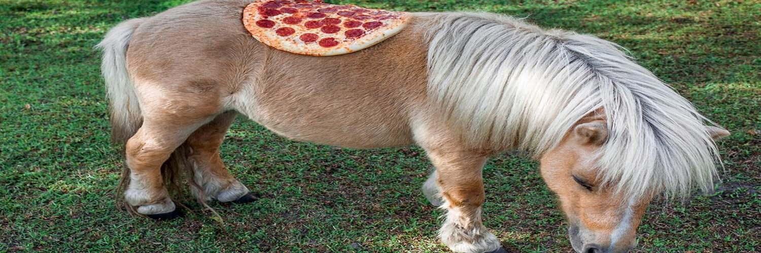 nick andersen banner