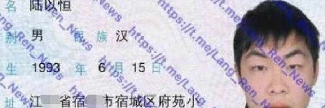 多伦多框脸 banner