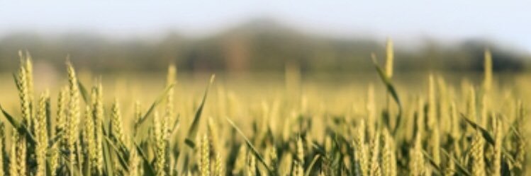 jonaten's profile banner image