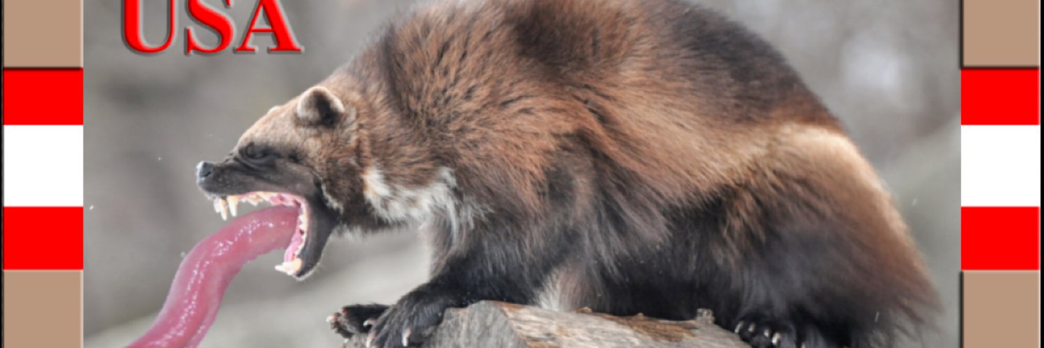 wolverinetongue's profile banner image