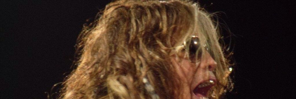 Michael Shepherd banner